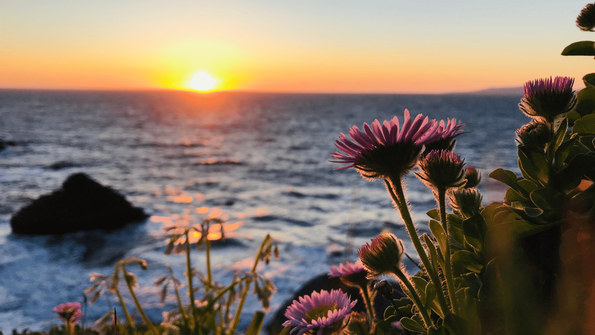 Founders' Recommendations